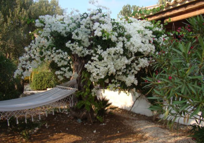 Casa Vacanze Appartamenti Il Poggio Delle Cicale